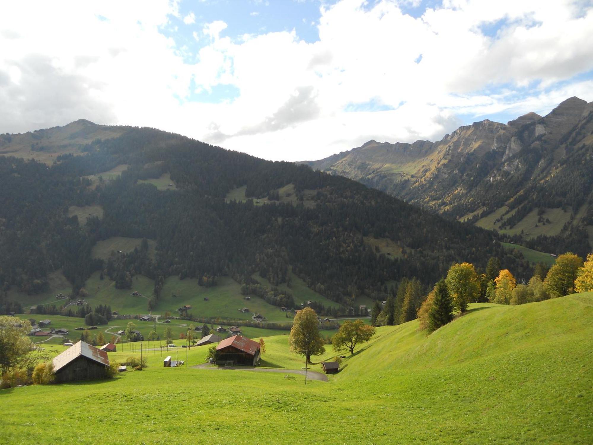 Apartamento Bauernhaus Gschwend Gsteig Exterior foto