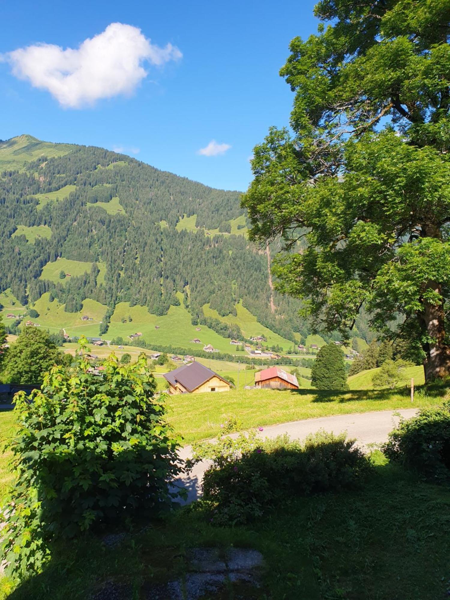 Apartamento Bauernhaus Gschwend Gsteig Exterior foto