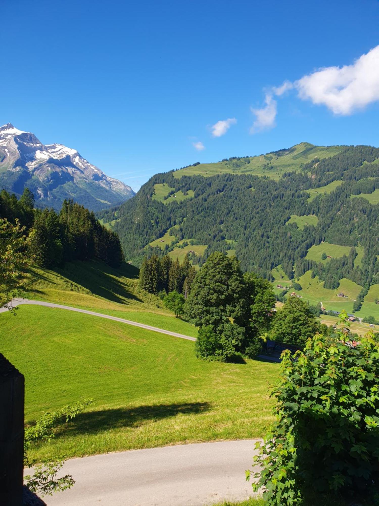 Apartamento Bauernhaus Gschwend Gsteig Exterior foto